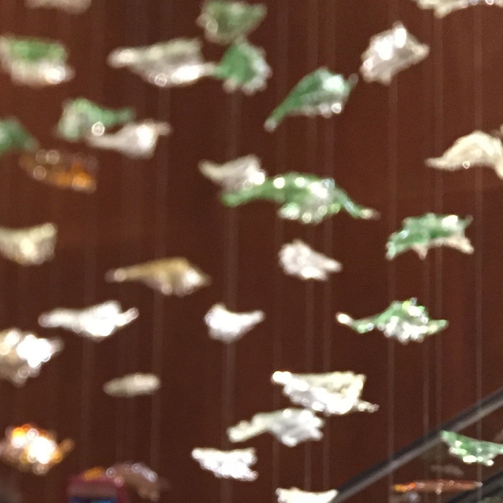 Meet your Posher, Judy